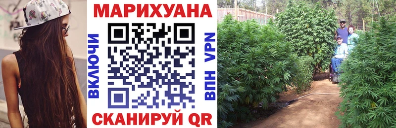 Конопля White Widow Юрьев-Польский